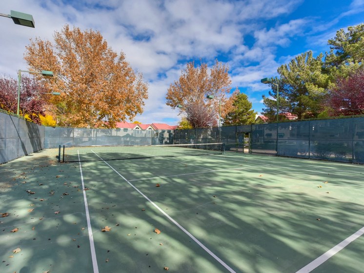 Tennis Court with Net, Autumn Leaves On Ground and Large Trees